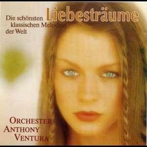 ดาวน์โหลดและฟังเพลง Symphonie Nr. 40 KV 550 G-Moll พร้อมเนื้อเพลงจาก Anthony Ventura