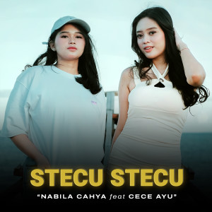 Listen to Stecu Stecu song with lyrics from Nabila Cahya