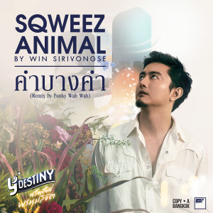 收听Sqweez Animal的คำบางคำ (Remix by Funky Wah Wah From Y Destiny Series)歌词歌曲