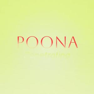 อัลบัม Poona Penetrating ศิลปิน Various