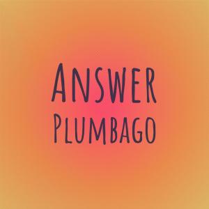 Various的专辑Answer Plumbago