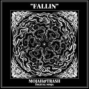 Album FALLIN from Digital Ninja