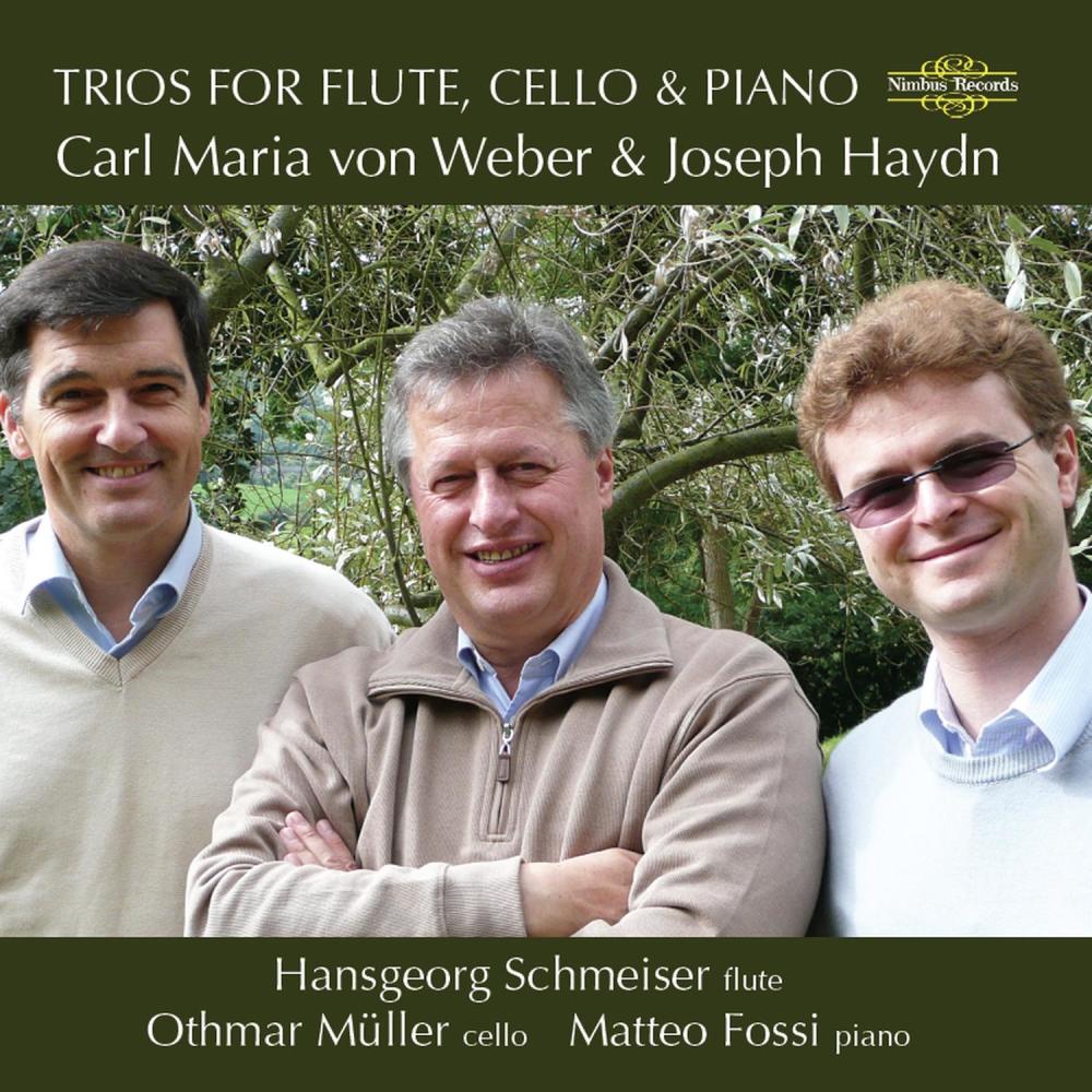Trio in G Minor, Op. 63: IV. Finale. Allegro (完整版)
