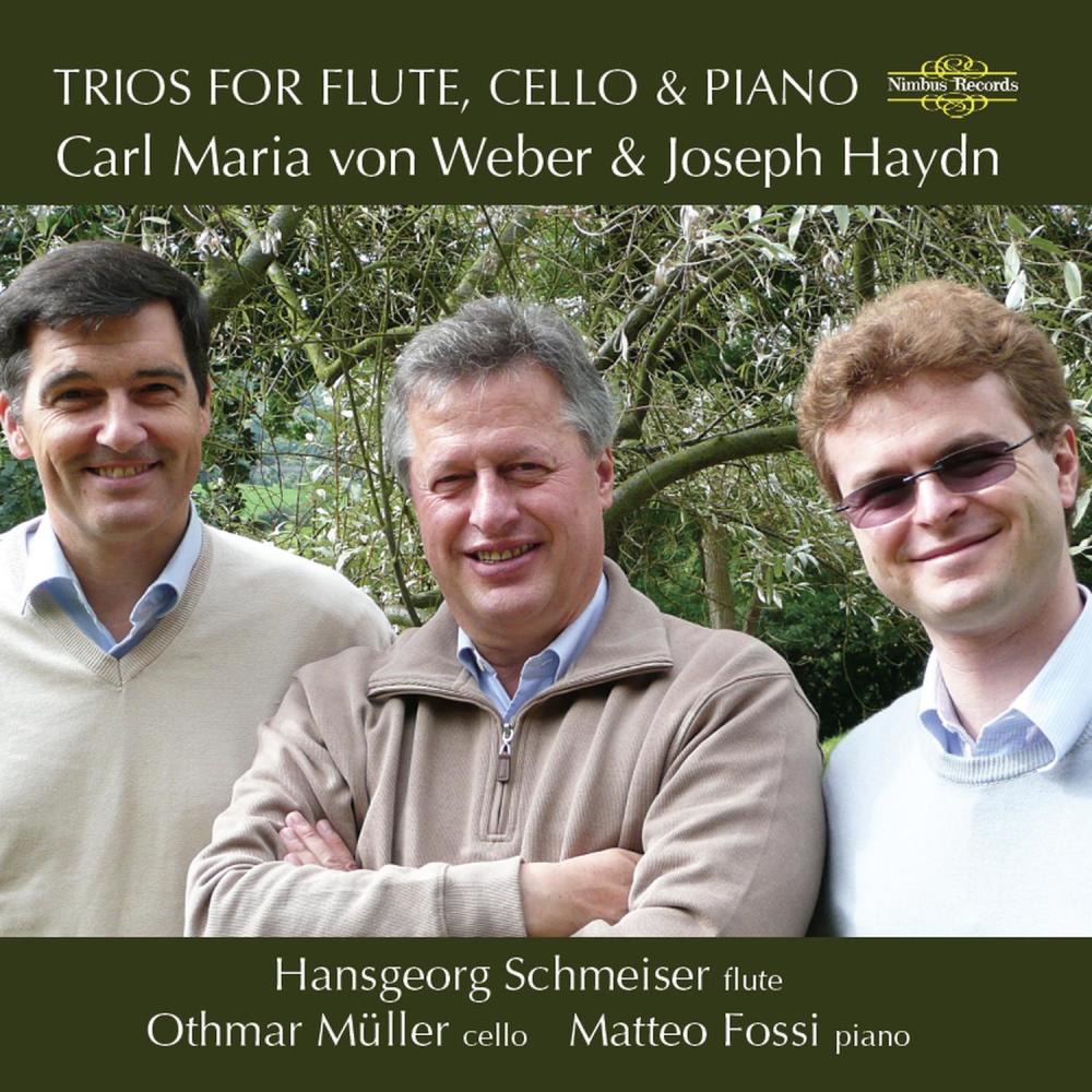 Trio in G Minor, Op. 63: I. Allegro moderato