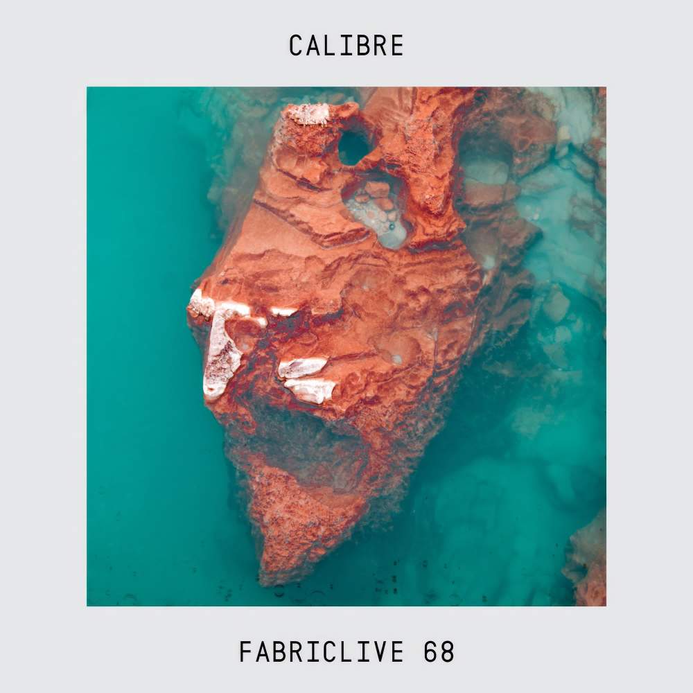 Garden (Calibre Remix)