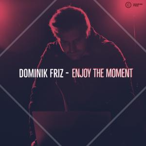 Dominik Friz的專輯Enjoy the Moment