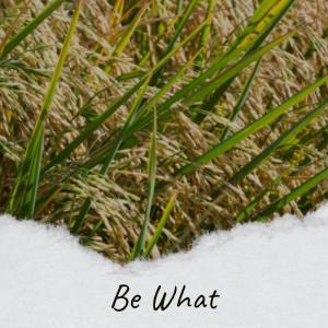 Various Artists的專輯Be What