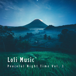Lofi Playlist的专辑Lofi Music: Peaceful Night Time Vol. 1