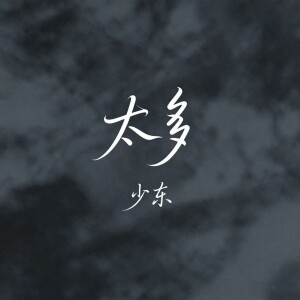 Album 太多（DJ版） from 