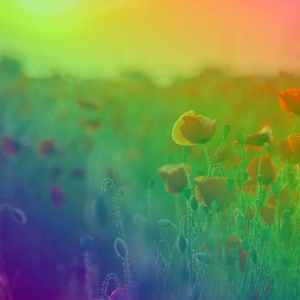 default playlist img