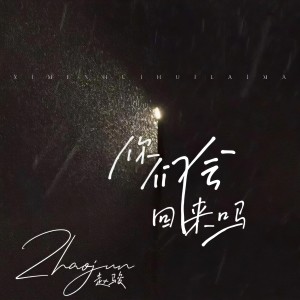 Album 你们会回来吗 from 赵骏