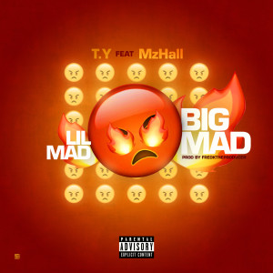 Album Lilmad Bigmad (Explicit) from T.Y
