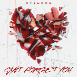 Album Cant Forget You (Explicit) from Branson