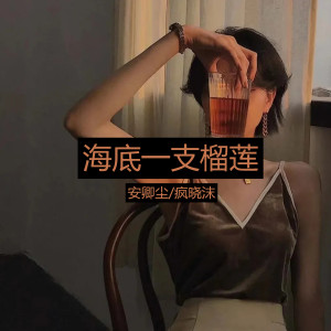Album 海底凤凰传奇 from 安卿尘