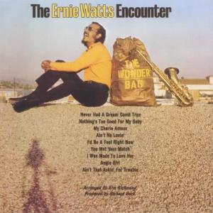 ดาวน์โหลดและฟังเพลง Never Had A Dream Come True พร้อมเนื้อเพลงจาก The Ernie Watts Encounter