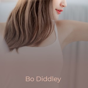 收聽The Shadows的Bo Diddley歌詞歌曲
