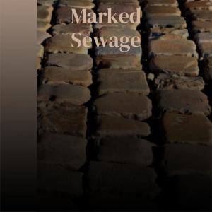 Various的专辑Marked Sewage