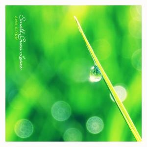 Album Small Grass Leaves oleh Ahn Siyun