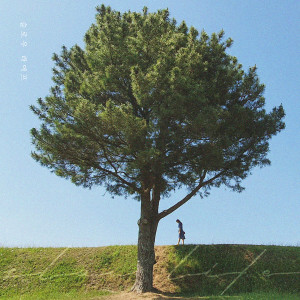 อัลบัม Slow Life ศิลปิน Ho Yeon Joo