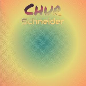 Various Artists的專輯Chur Schneider