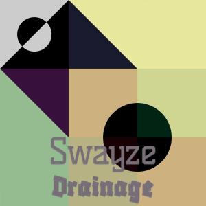 Various Artists的專輯Swayze Drainage