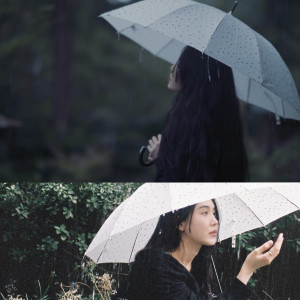 ROCOBERRY的專輯Rain