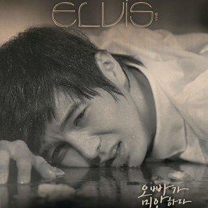ดาวน์โหลดและฟังเพลง I am sorry (Instrumental) (MR) พร้อมเนื้อเพลงจาก Elvis