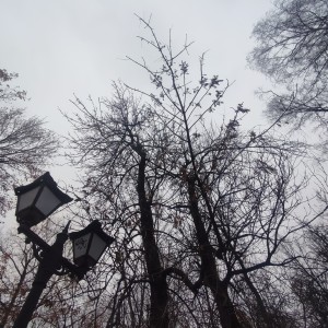 Listen to Ветрено song with lyrics from Тренер