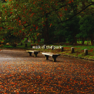 Listen to Walk in the Park (Explicit) song with lyrics from Slud
