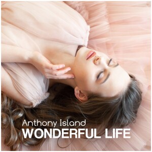 Album Wonderful life from 
