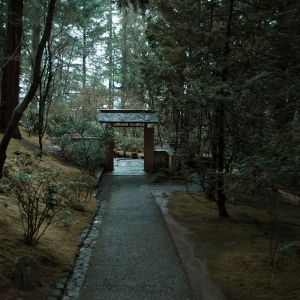 Listen to Sleep Music song with lyrics from Deep Sleep