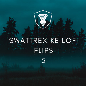 Listen to US (Lofi) song with lyrics from Swattrex
