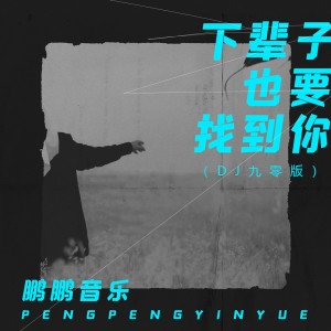 Album 下辈子也要找到你(DJ九零版) from 鹏鹏音乐