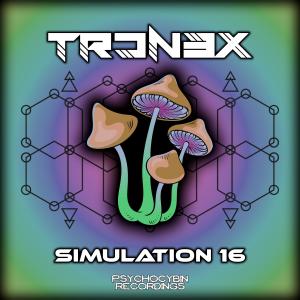 收聽Tron3x的Simulation 16歌詞歌曲