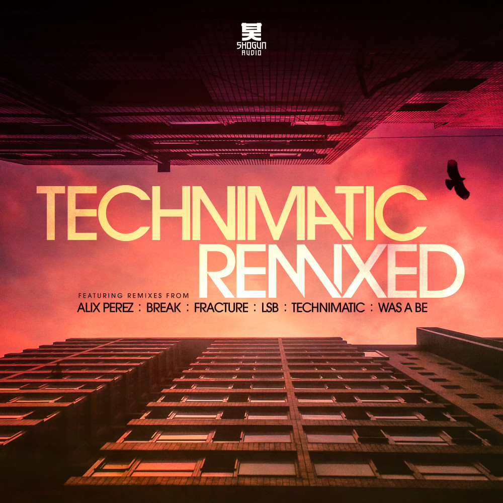 Hold on a While (Alix Perez Remix)