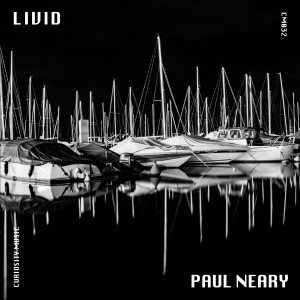 Listen to Inception (Dustin Holtsberry Remix) song with lyrics from Paul Neary