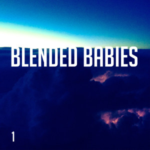 1 dari Blended Babies