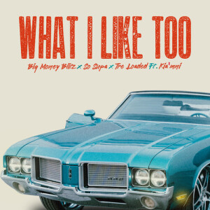 What I Like Too (Explicit) dari Big Money Blitz