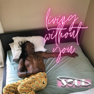 Album Living Without You from Soul