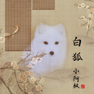 收听小阿枫的白狐歌词歌曲