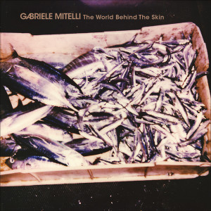 Gabriele Mitelli的专辑The World Behind the Skin