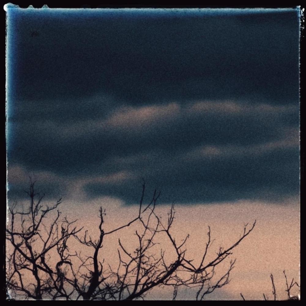Fallen Leaves (Explicit)