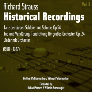 收聽Berliner Philharmoniker的Tanz der sieben Schleier aus Salome, Op. 54歌詞歌曲