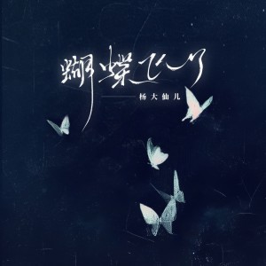 Album 蝴蝶飞了 from 杨大仙儿