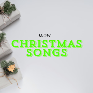 Slow Christmas Songs的專輯Twinkling Noel