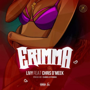 Listen to Erimma (Explicit) song with lyrics from Livy
