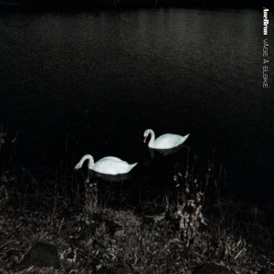 Album Våge Å Elske from Ane Brun