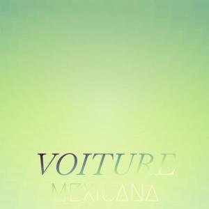 Various Artists的專輯Voiture Mexicana