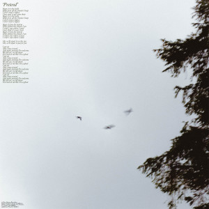 Album Pretend from Far Caspian