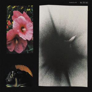 Dengarkan suzuki lagu dari threelife dengan lirik